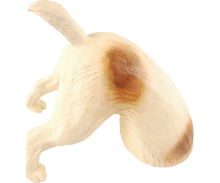E57 AV01